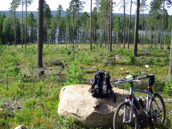 Click for the original image